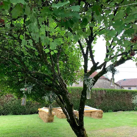 Le Chateau De Le Sec Guest house Monthureux-le-Sec