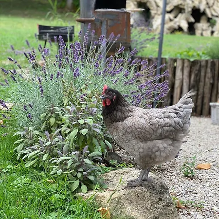 Pensjonat Le Chateau De Le Sec