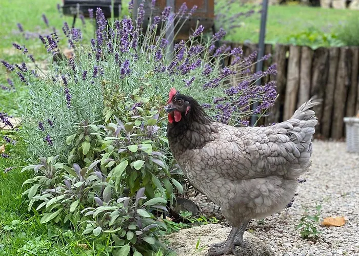Penzion Le Chateau De Le Sec